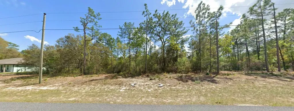 9029 N Saponaria Drive Citrus Springs FL 34433
