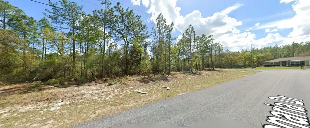 9029 N Saponaria Drive Citrus Springs FL 34433