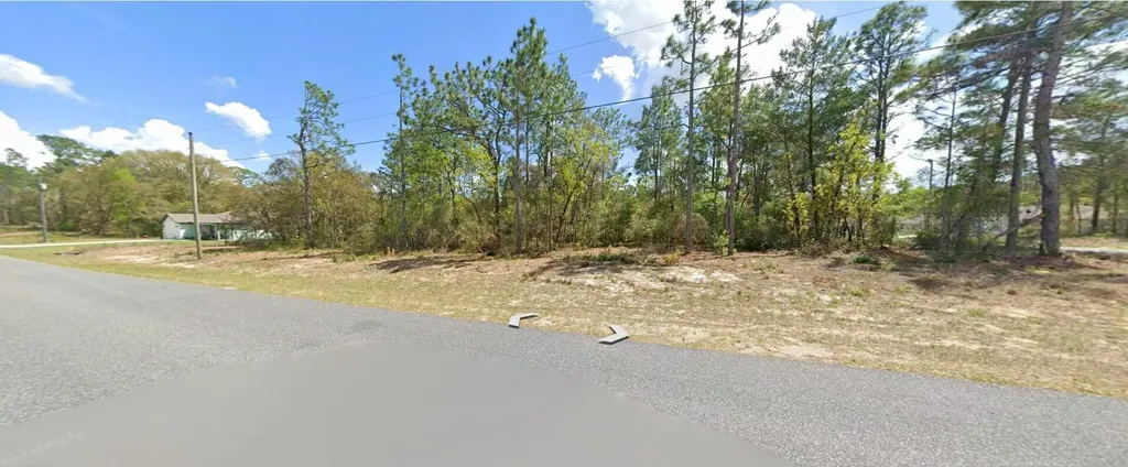 9029 N Saponaria Drive Citrus Springs FL 34433