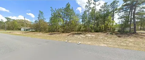 9029 N Saponaria Drive Citrus Springs FL 34433
