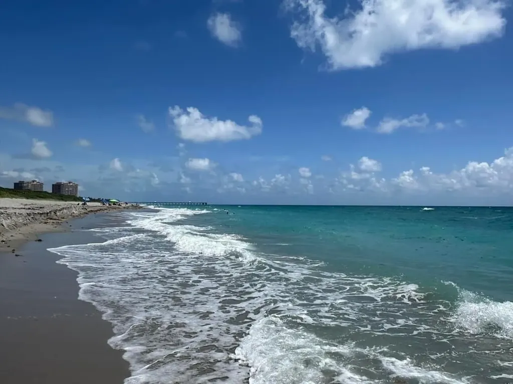 1950 Juno Landing Lane North Palm Beach FL 33408
