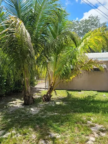 6781 Charleston Street Hollywood FL 33024