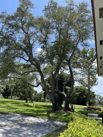 1225 NW 21st Street NW Stuart FL 34994
