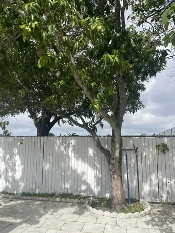1534 Royal Forest Court West Palm Beach FL 33406