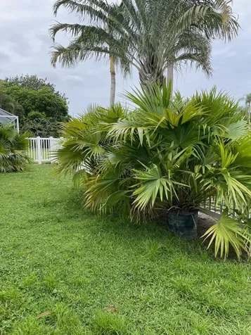 6264 Lansdowne Circle Boynton Beach FL 33472