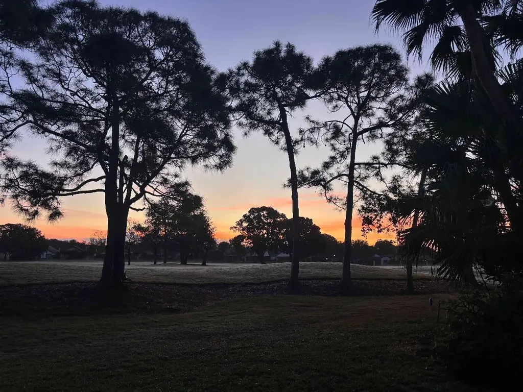 49 Vía Verona Palm Beach Gardens FL 33418