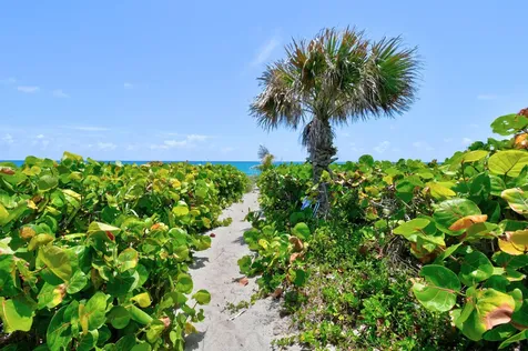 282 Celestial Way Juno Beach FL 33408