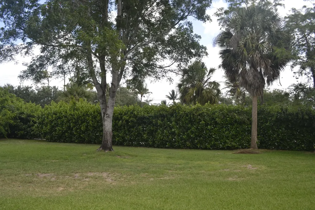 1104 Raintree Lane Wellington FL 33414