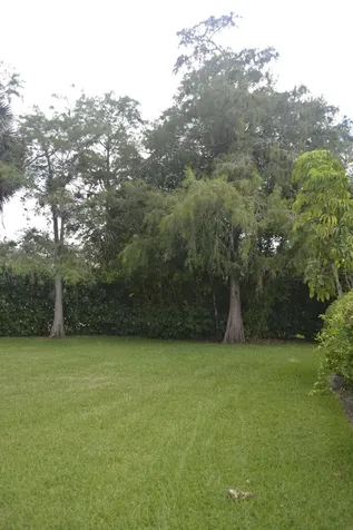 1104 Raintree Lane Wellington FL 33414