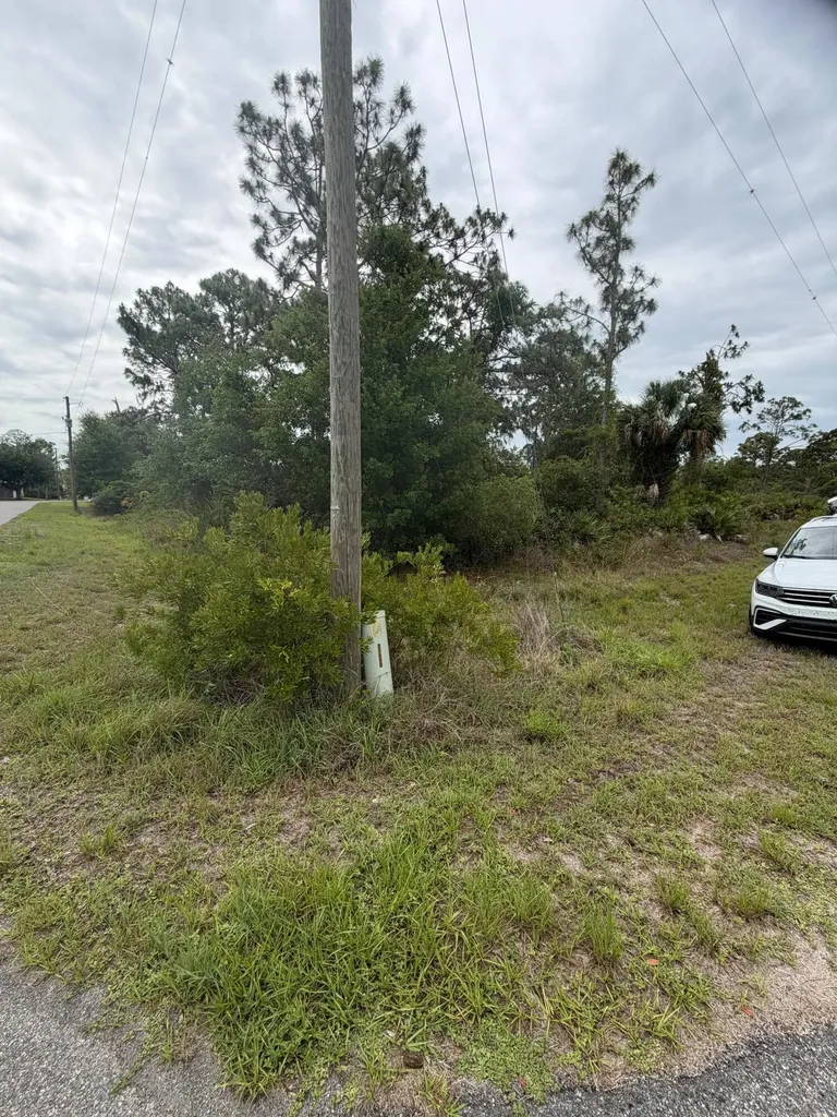 1170 Kingfisher Avenue NW Lake Placid FL 33852