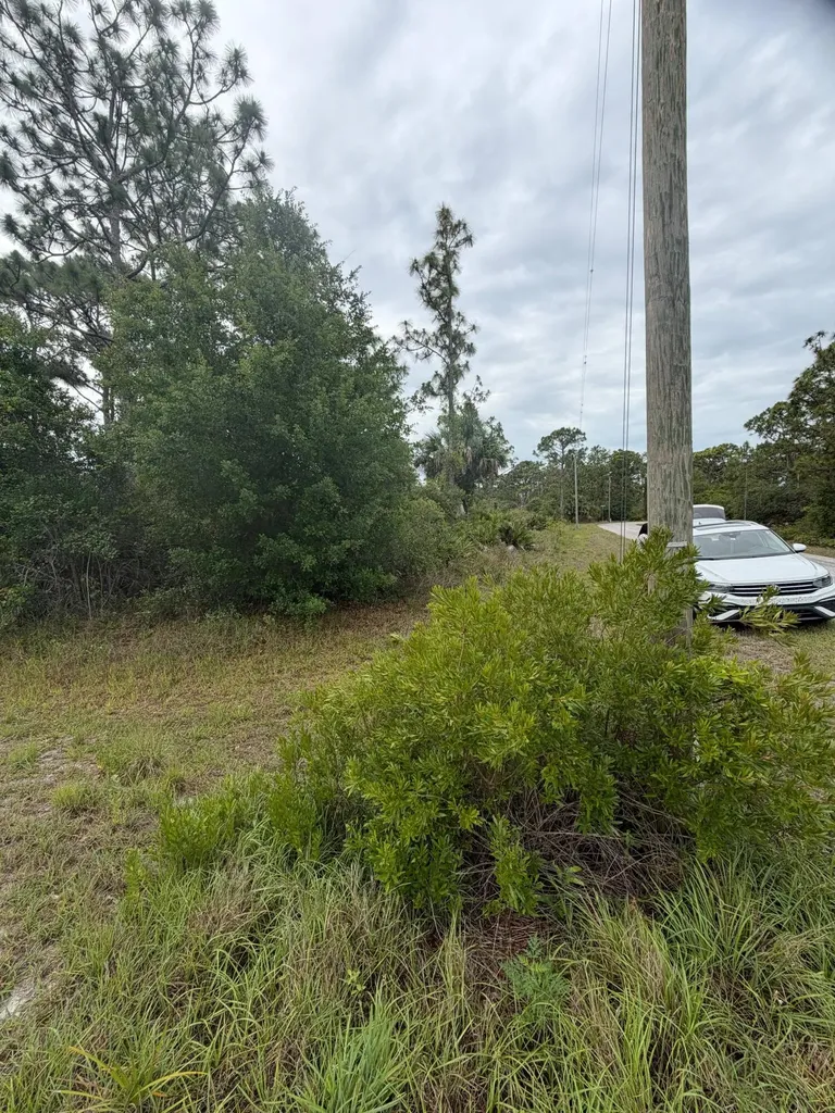 1170 Kingfisher Avenue NW Lake Placid FL 33852