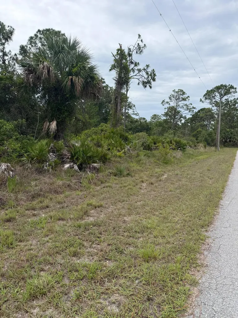 1170 Kingfisher Avenue NW Lake Placid FL 33852