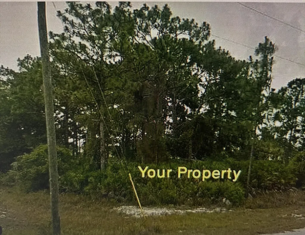 1170 Kingfisher Avenue NW Lake Placid FL 33852