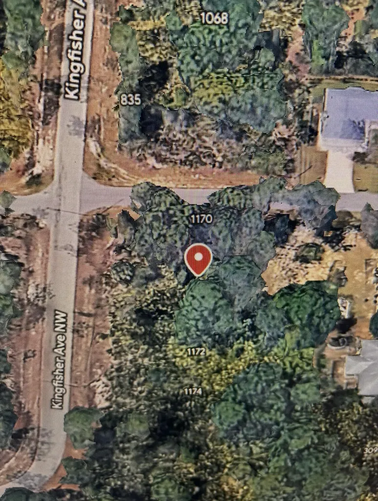 1170 Kingfisher Avenue NW Lake Placid FL 33852