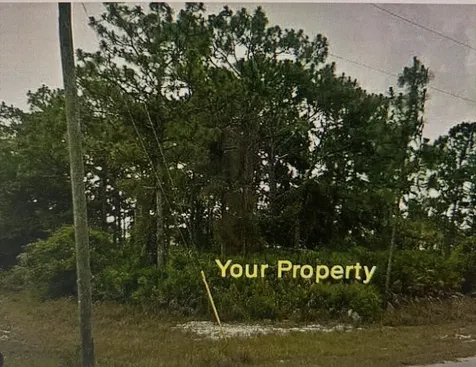 1170 Kingfisher Avenue NW Lake Placid FL 33852