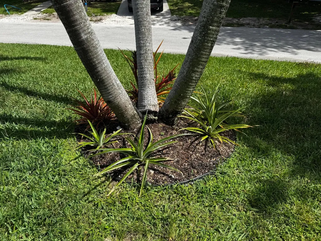 4081 4th Court Lantana FL 33462