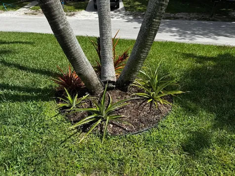 4081 4th Court Lantana FL 33462