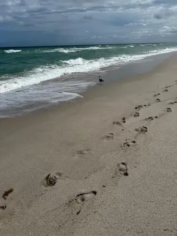 3140 S Ocean Drive Hallandale Beach FL 33009