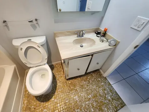 314 Lake Dora Drive West Palm Beach FL 33411