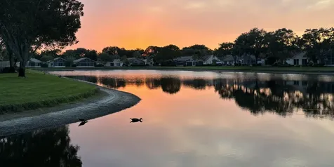 9671 Harbour Lake Circle Boynton Beach FL 33437