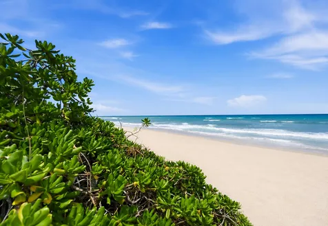 175 Ocean Bay Drive Jensen Beach FL 34957