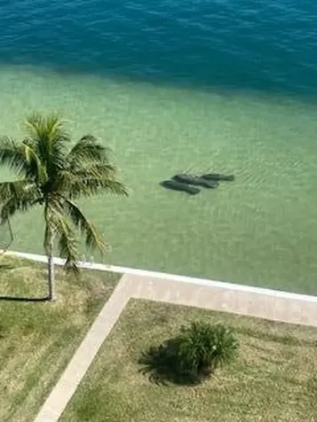 301 Lake Shore Drive Lake Park FL 33403