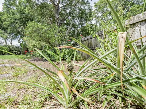 425 Banyan Street Sebastian FL 32958