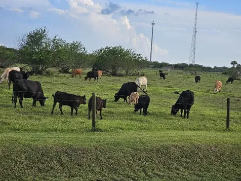 926 SW 44th Boulevard Okeechobee FL 34974