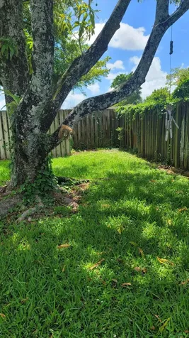 2590 NW 98th Avenue Sunrise FL 33322