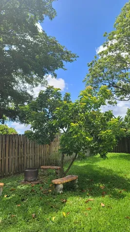 2590 NW 98th Avenue Sunrise FL 33322