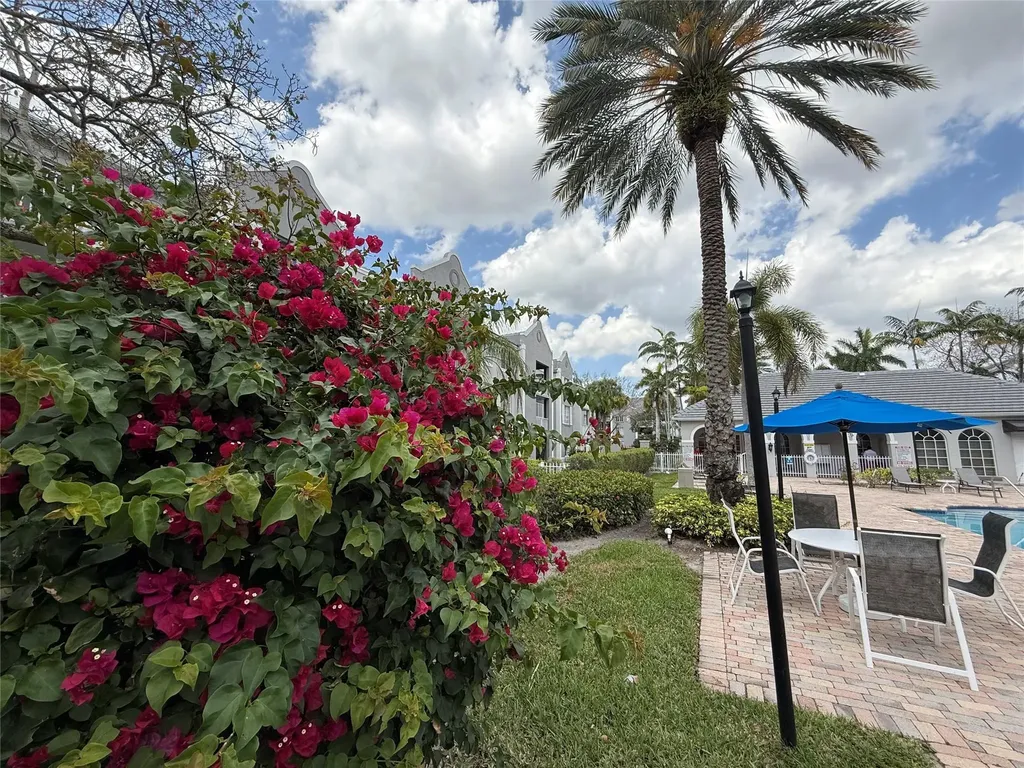 11165 SW 6th Street Pembroke Pines FL 33025