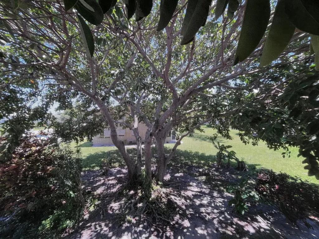49 B Cambridge B West Palm Beach FL 33417