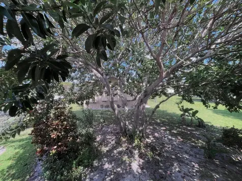 49 Cambridge B West Palm Beach FL 33417