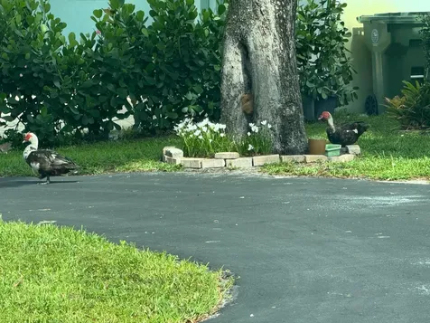 8780 NW 11th Street Pembroke Pines FL 33024