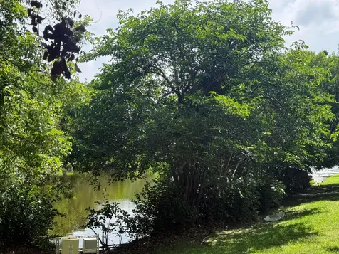182 Lake Monterey Circle Boynton Beach FL 33426