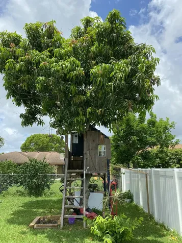 300 La Mancha Avenue Royal Palm Beach FL 33411