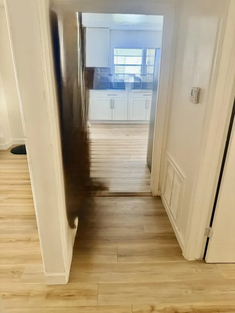 443 Wilder Street West Palm Beach FL 33405