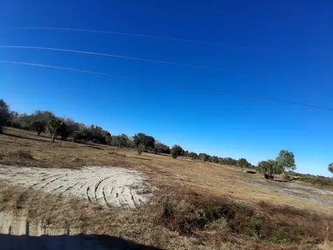 19981 NW 304th Street Okeechobee FL 34972