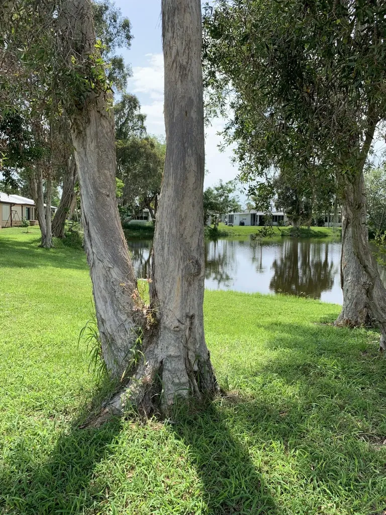 3 Mediterranean Boulevard E Port St Lucie FL 34952