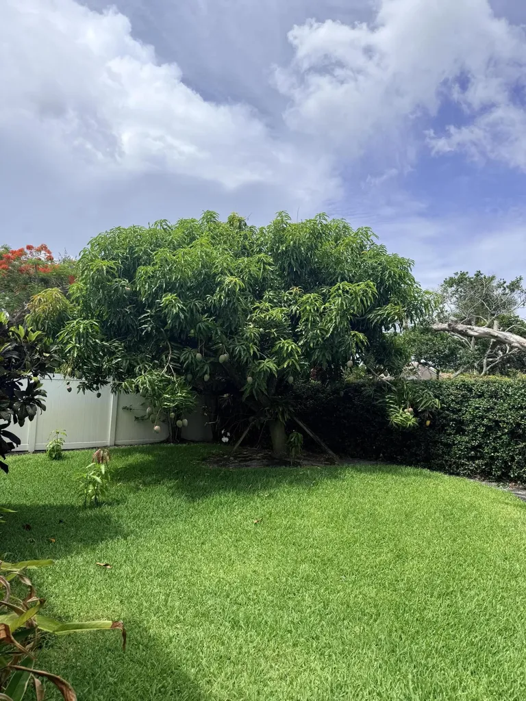 3509 NW 26th Court Boca Raton FL 33434