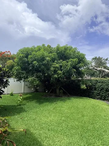 3509 NW 26th Court Boca Raton FL 33434