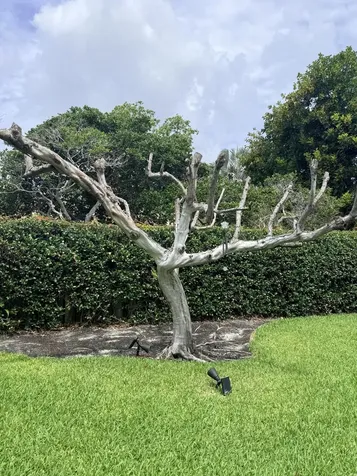 3509 NW 26th Court Boca Raton FL 33434