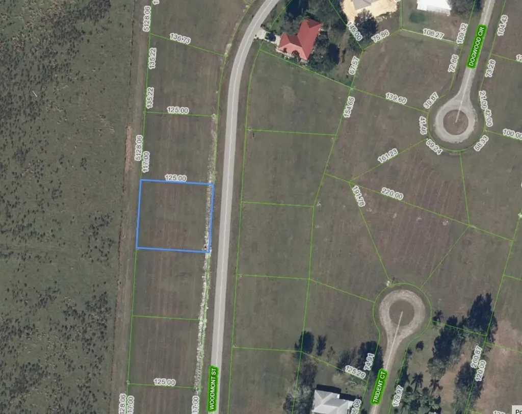 816 Woodmont Street Sebring FL 33876