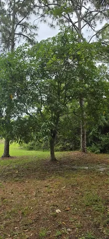 15779 77th Place N Loxahatchee FL 33470
