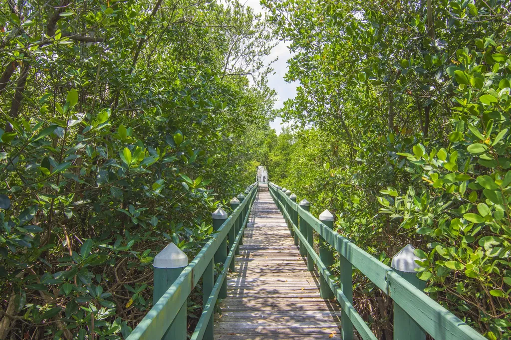 740 Lake Orchid Circle Vero Beach FL 32962