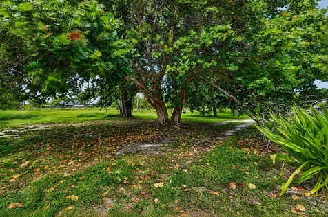 4537 Coconut Road Lake Worth FL 33461