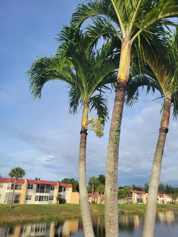 356 Lake Dora Drive West Palm Beach FL 33411