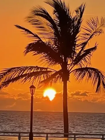 3900 Galt Ocean Drive Fort Lauderdale FL 33308