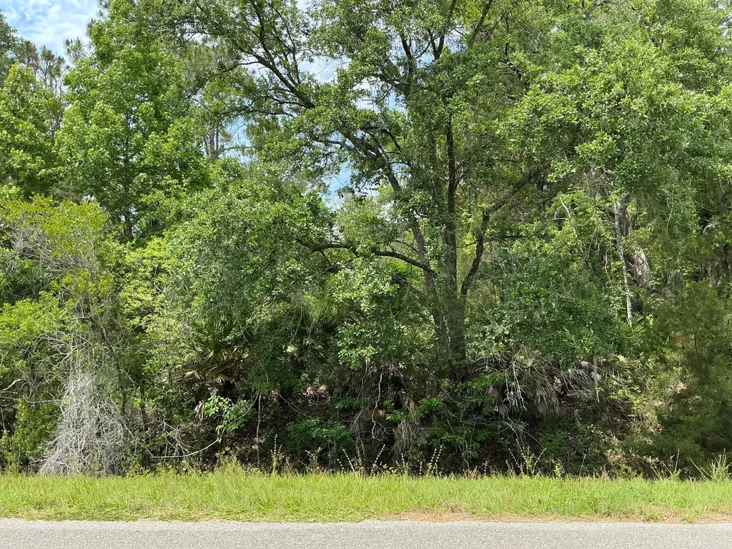 5020 Stephen Street Hastings FL 32145