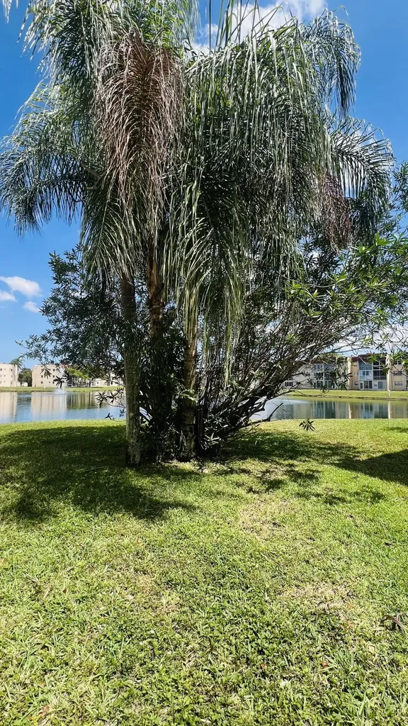 8920 Sunrise Lakes Boulevard Sunrise FL 33322
